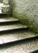 Moss-covered stairs